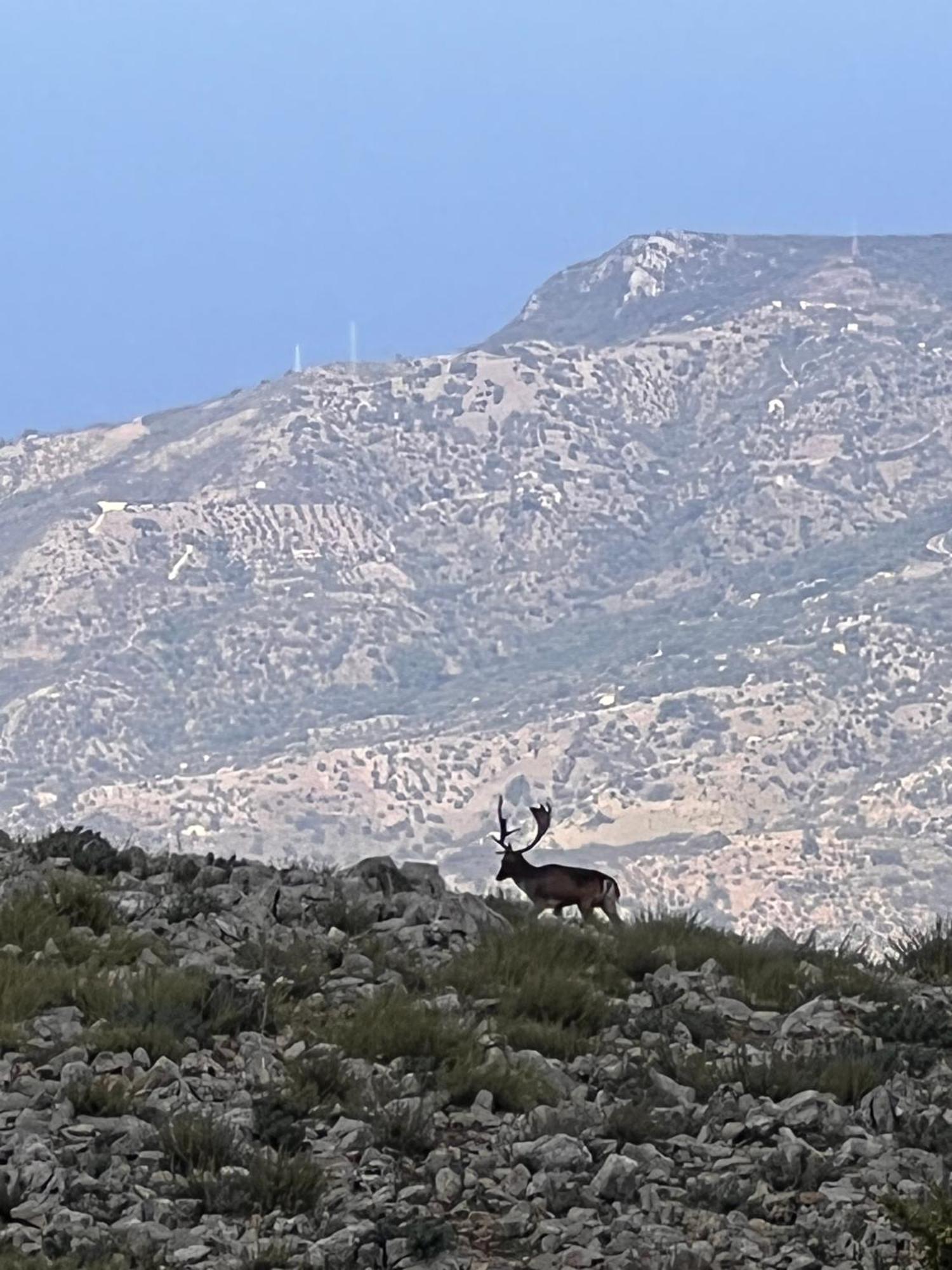 فيلا Mandra Chiusilla Collesano المظهر الخارجي الصورة
